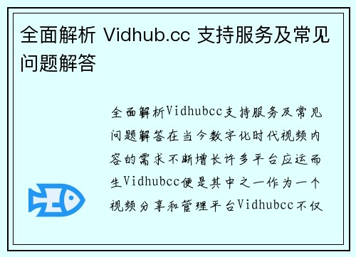 全面解析 Vidhub.cc 支持服务及常见问题解答